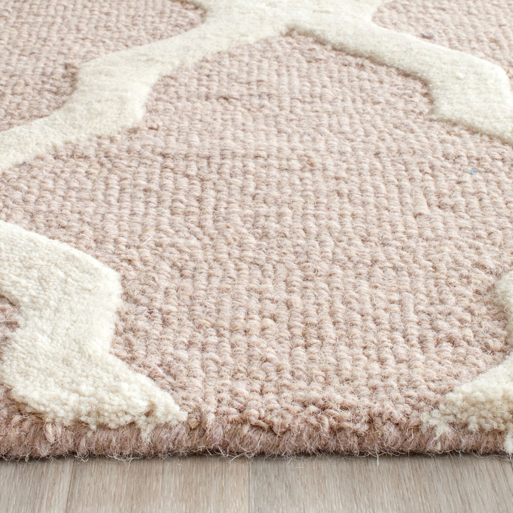 Safavieh Clearance Cambridge CAM121J Beige Rug