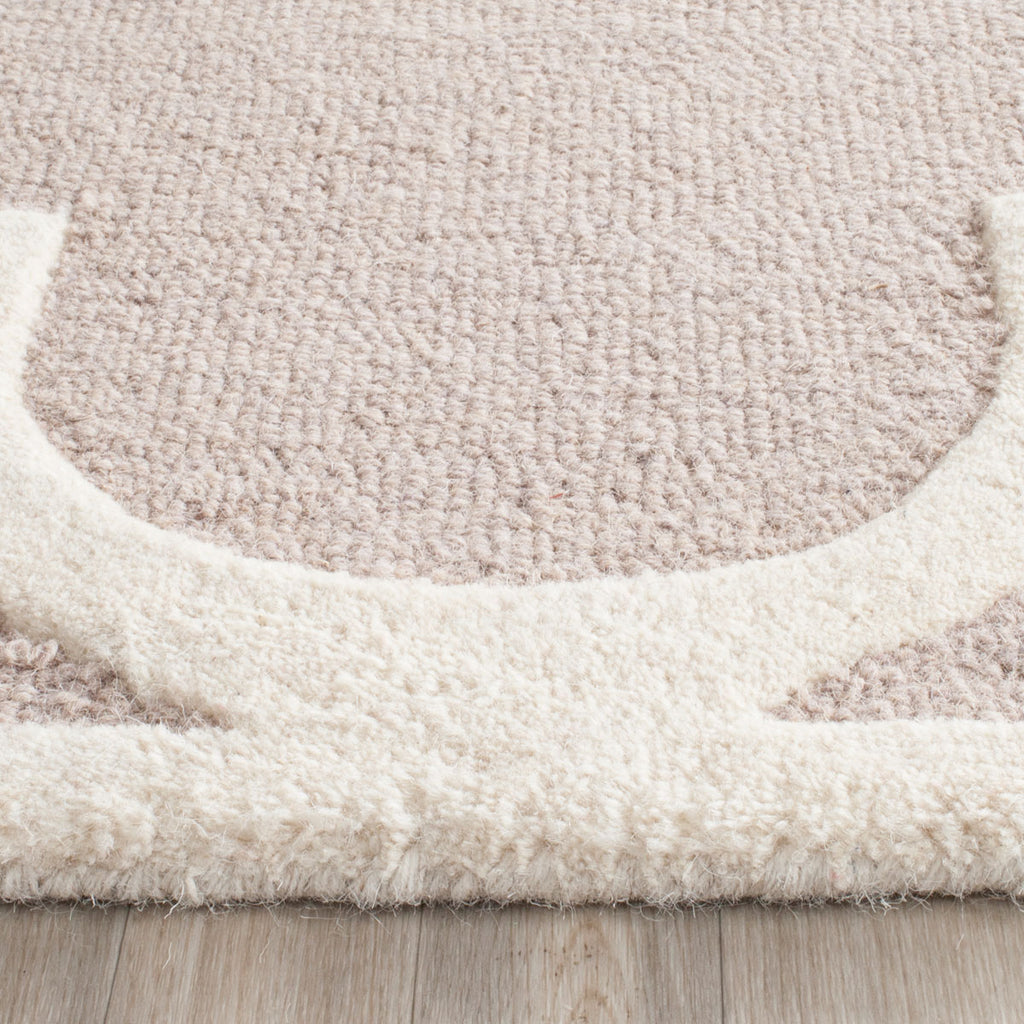 Safavieh Clearance Cambridge CAM140J Beige Rug