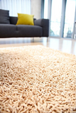 Anji Mountain Bamboo Rug, Co. Silky Shag AMB0654 Beige Rug