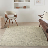 nourison colorado clr05 beige grey rug