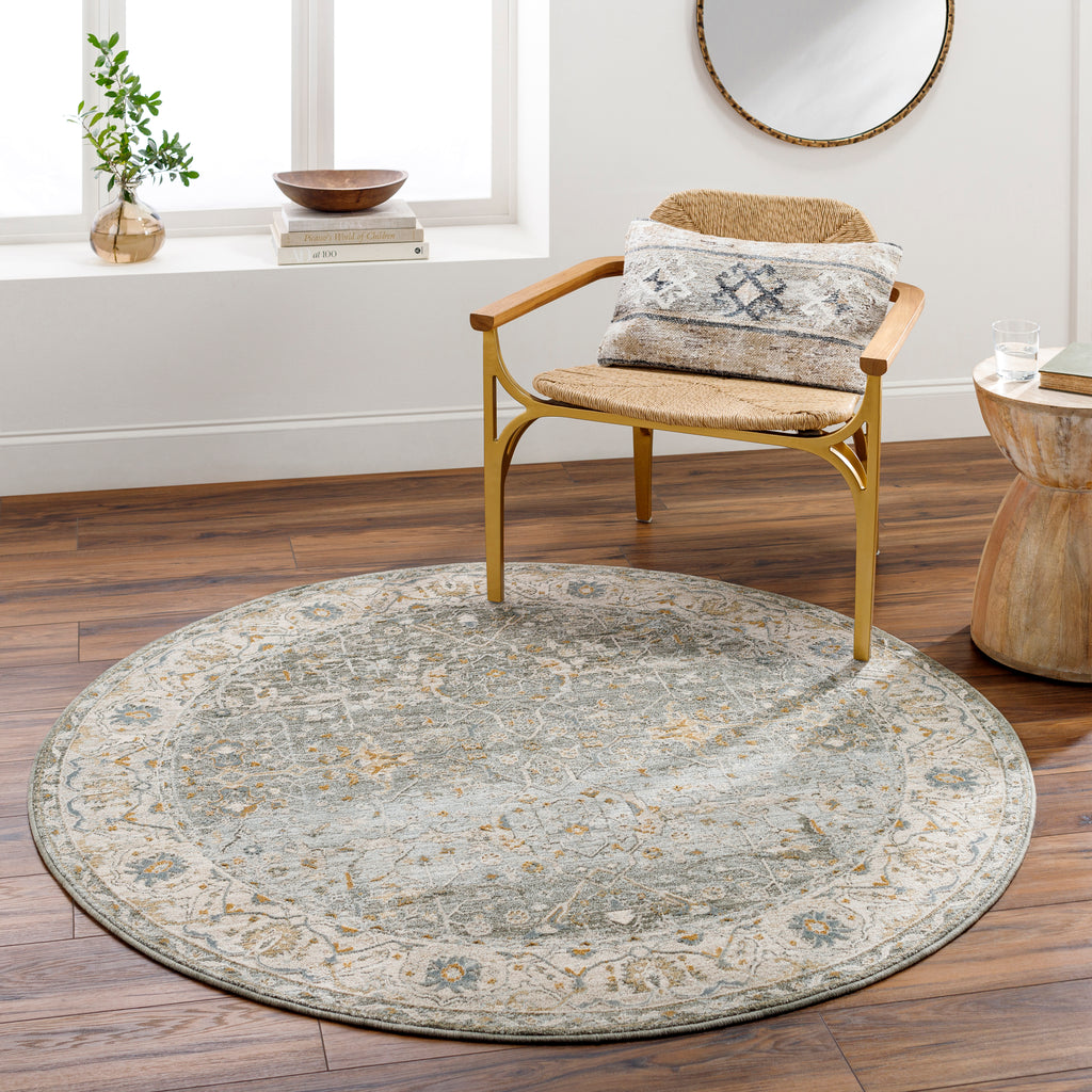 surya dresden dre 2310 dusty sage rug