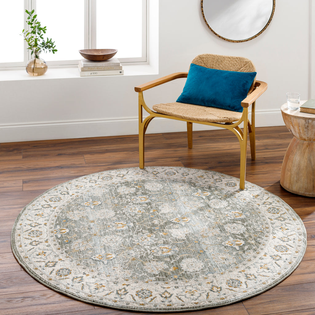 surya dresden dre 2312 taupe rug