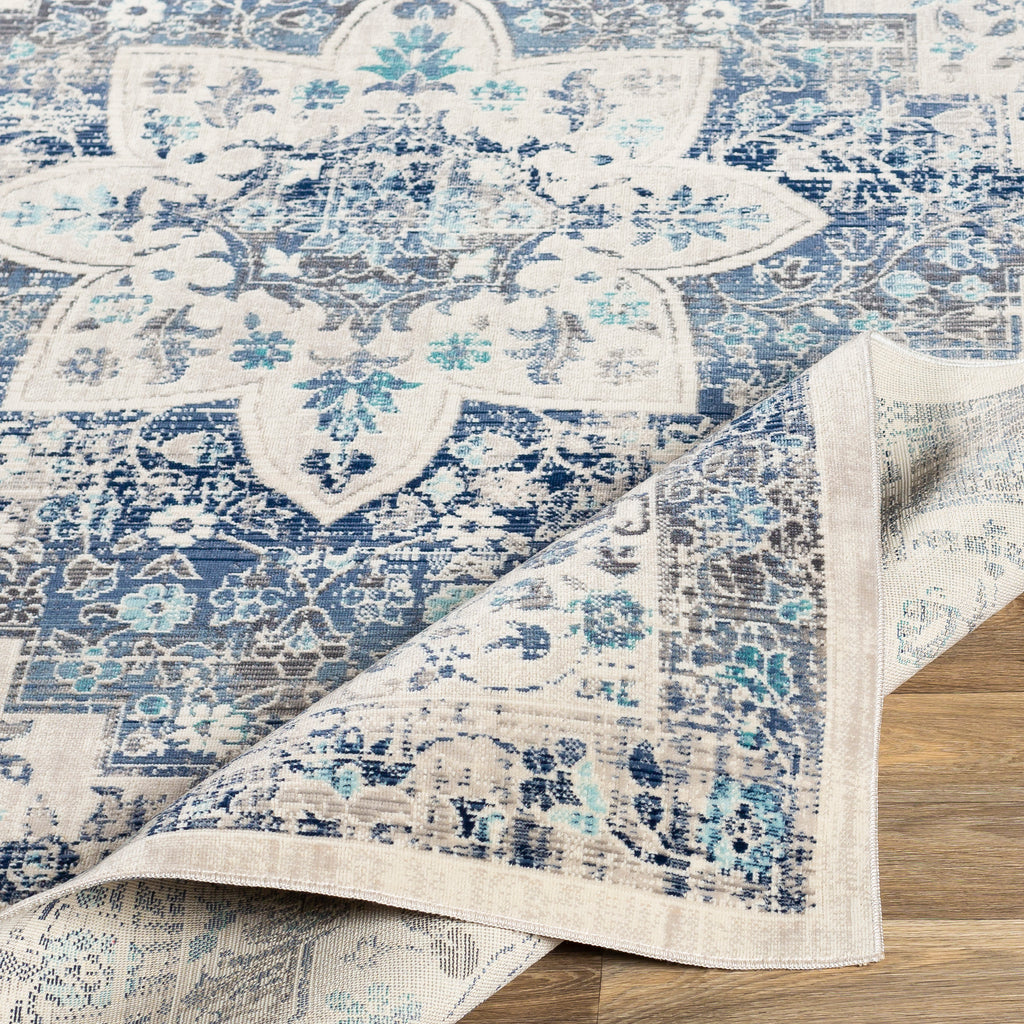 surya dublin dub 2302 aqua rug