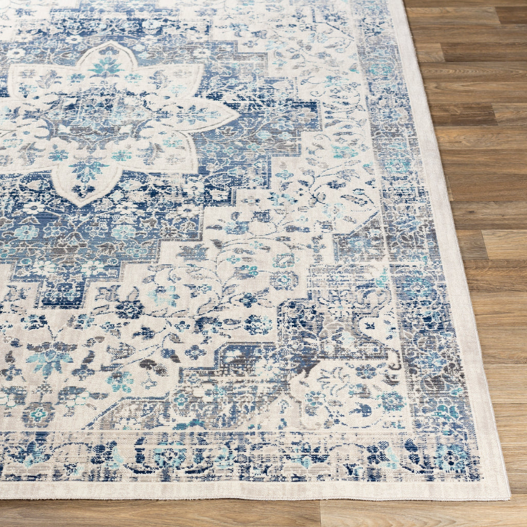 surya dublin dub 2302 aqua rug