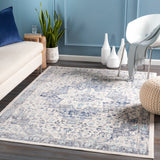 surya dublin dub 2302 aqua rug