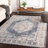 Surya Closeout Durham DUR-1015 Taupe Rug