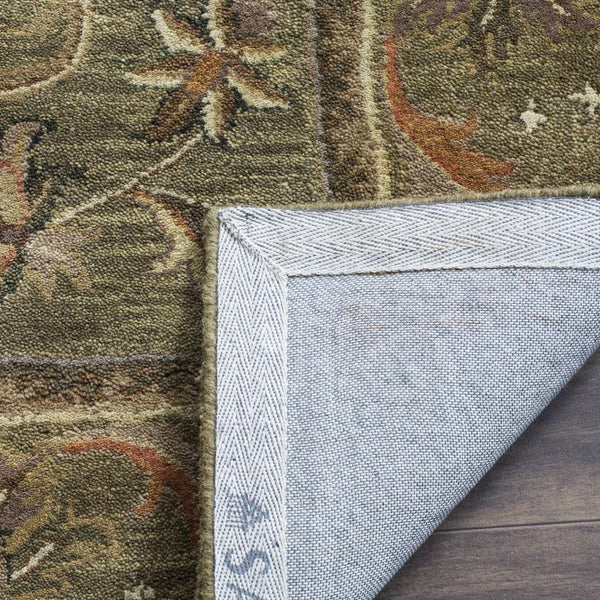 Safavieh Clearance Antiquities AT52A Sage Rug