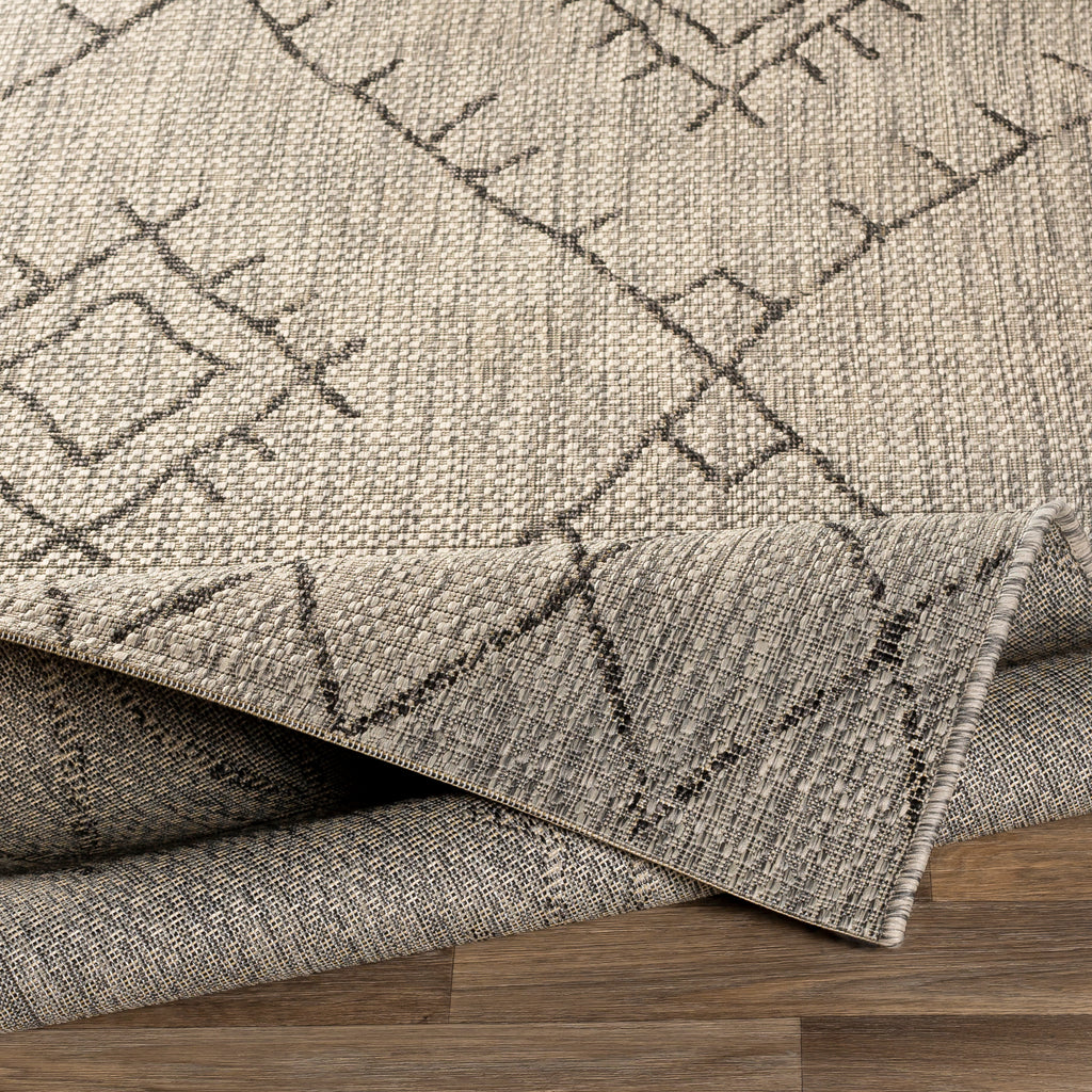 surya eagean eag 2328 black rug