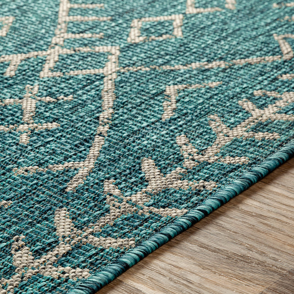 surya eagean eag 2330 aqua rug