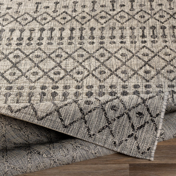 surya eagean eag 2334 black rug