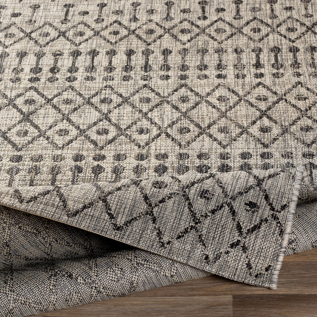 surya eagean eag 2334 black rug