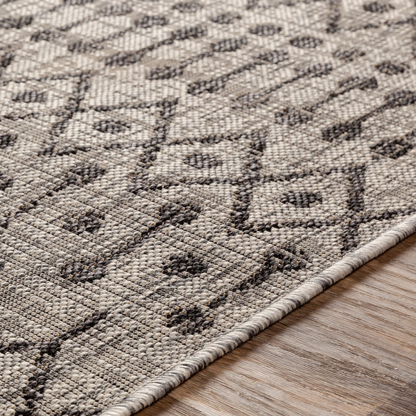 surya eagean eag 2334 black rug
