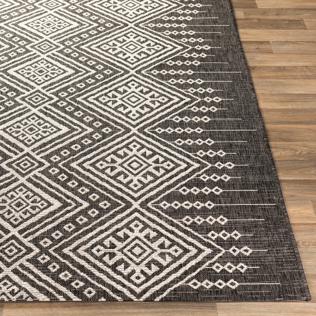 surya eagean eag 2338 black rug