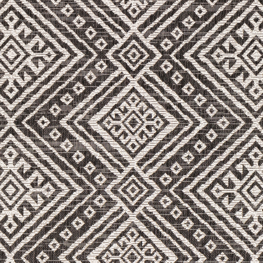 surya eagean eag 2338 black rug