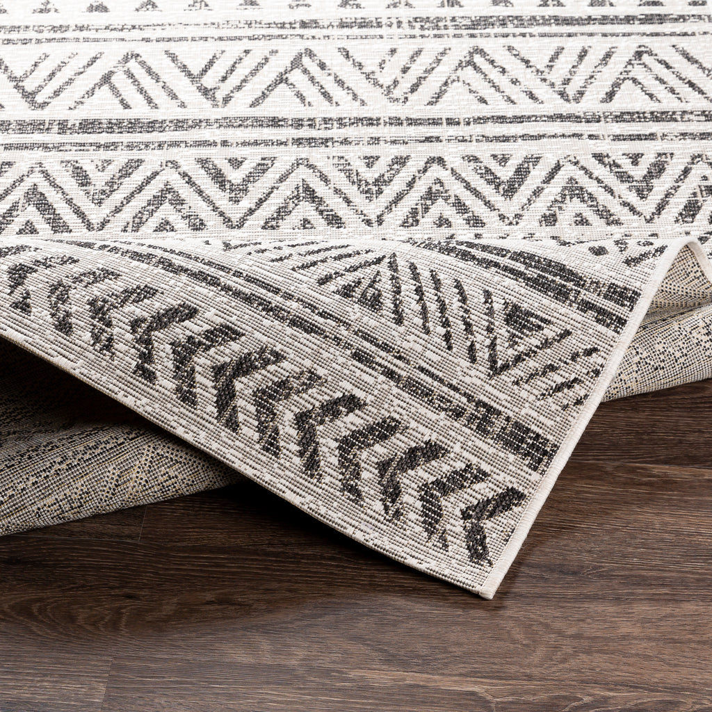 surya rug co eagean eag 2347 black rug