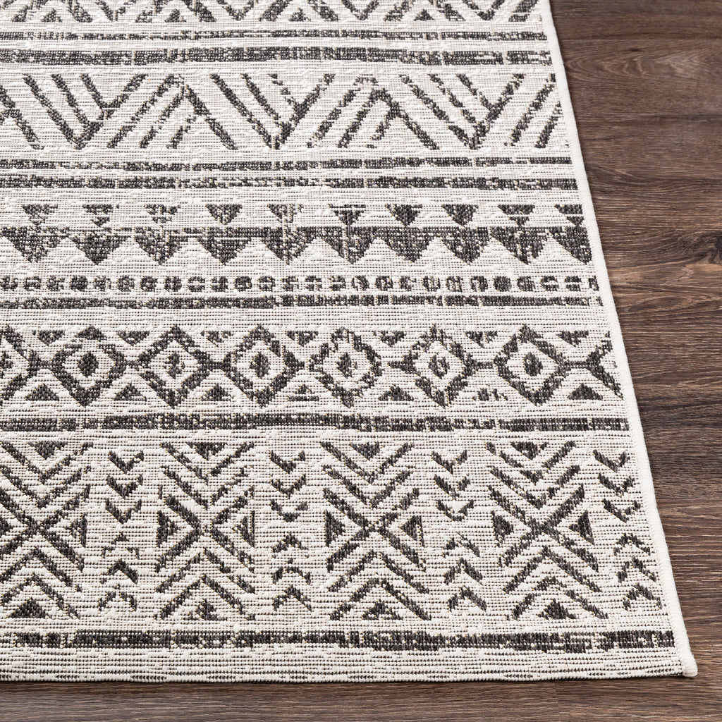 surya rug co eagean eag 2347 black rug