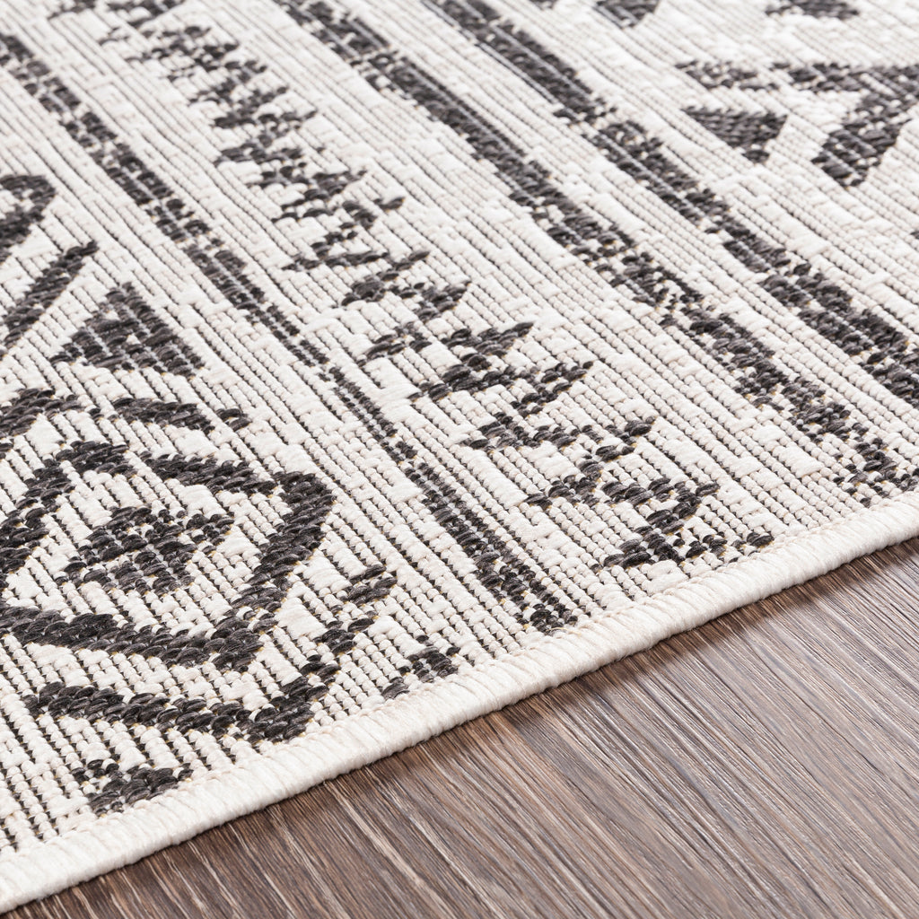 surya rug co eagean eag 2347 black rug
