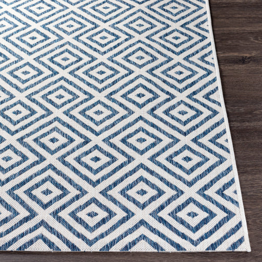 surya eagean eag 2367 dark blue rug