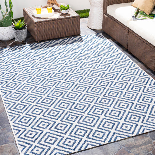 surya eagean eag 2367 dark blue rug