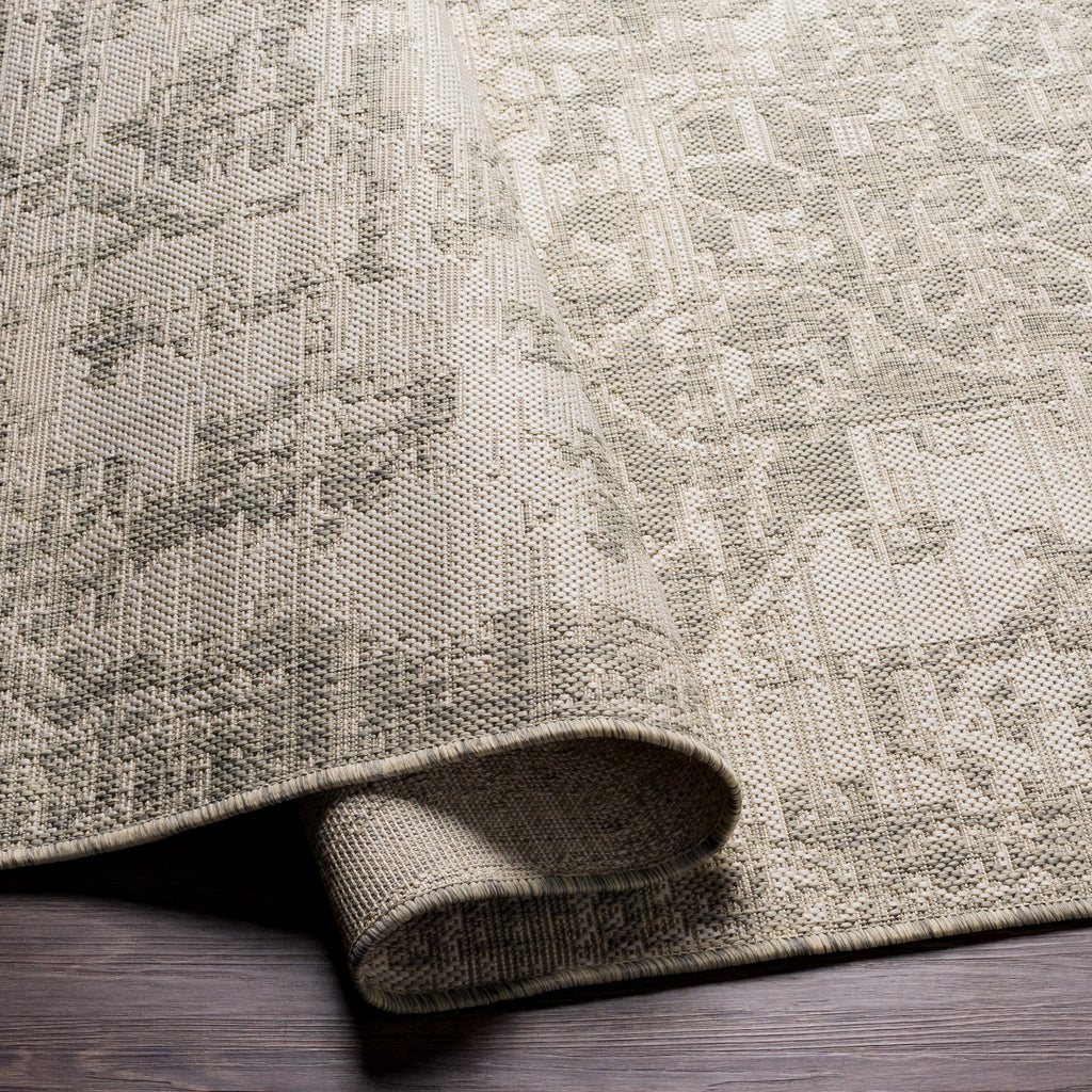 surya eagean eag 2380 cream rug