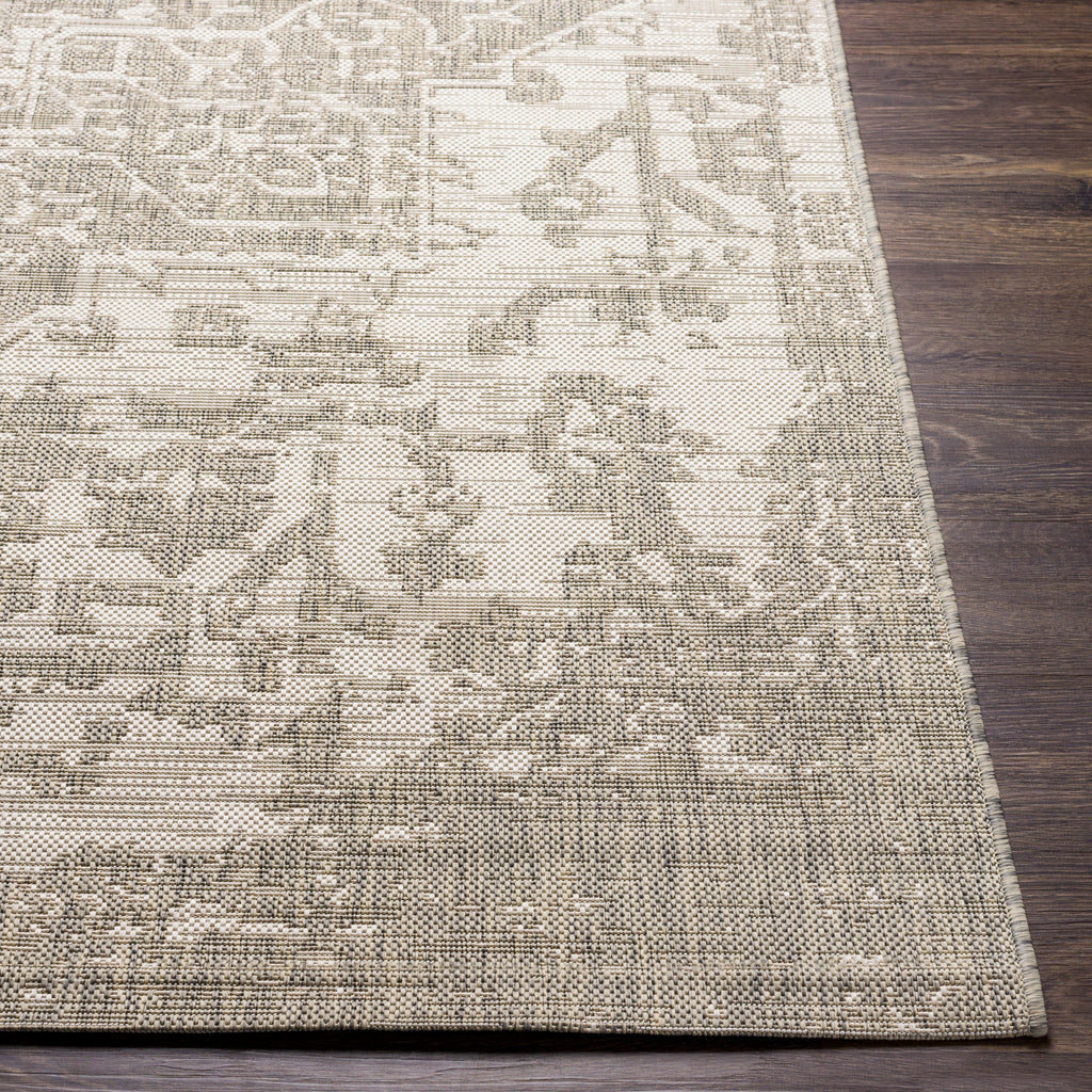 surya eagean eag 2380 cream rug