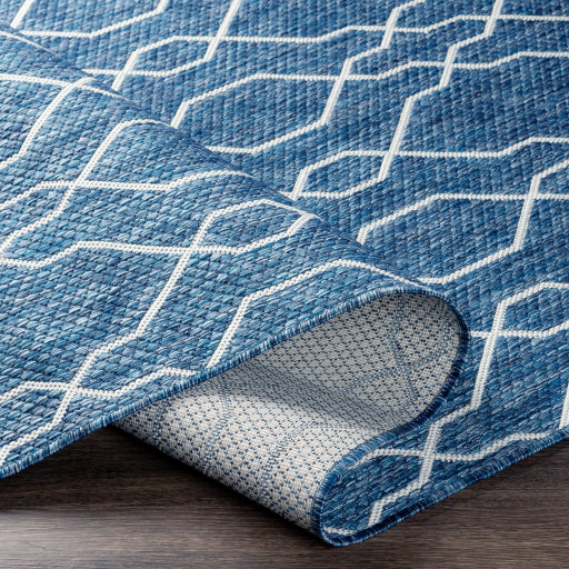 surya eagean eag 2381 dark blue rug