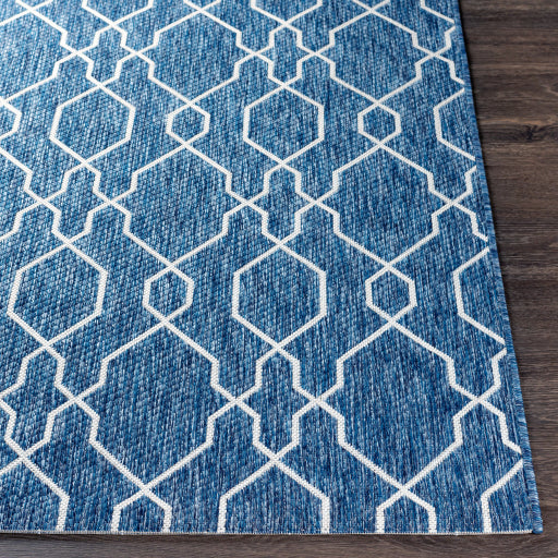 surya eagean eag 2381 dark blue rug
