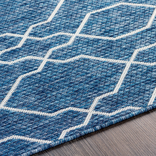 surya eagean eag 2381 dark blue rug