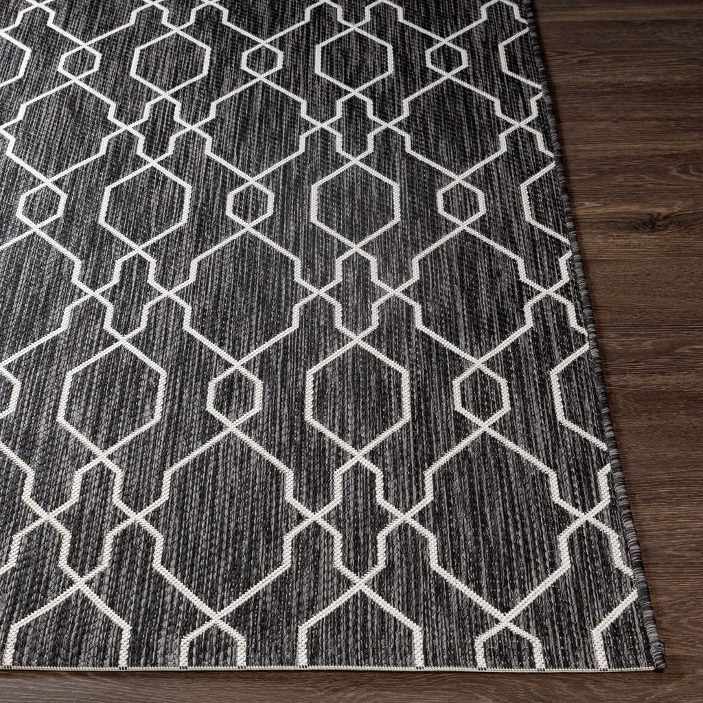 surya eagean eag 2384 charcoal rug