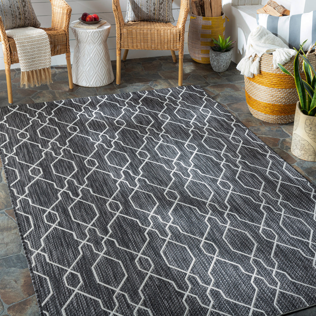 surya eagean eag 2384 charcoal rug