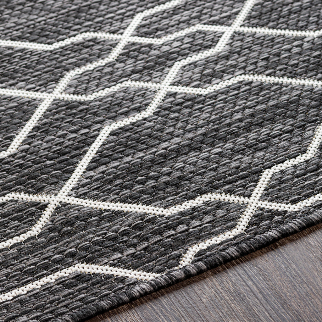 surya eagean eag 2384 charcoal rug