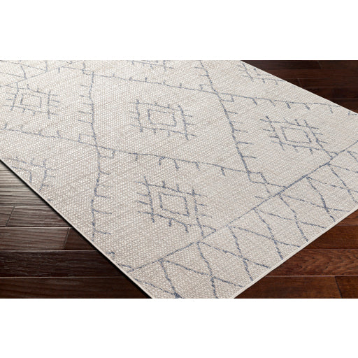surya eagean eag 2401 taupe rug