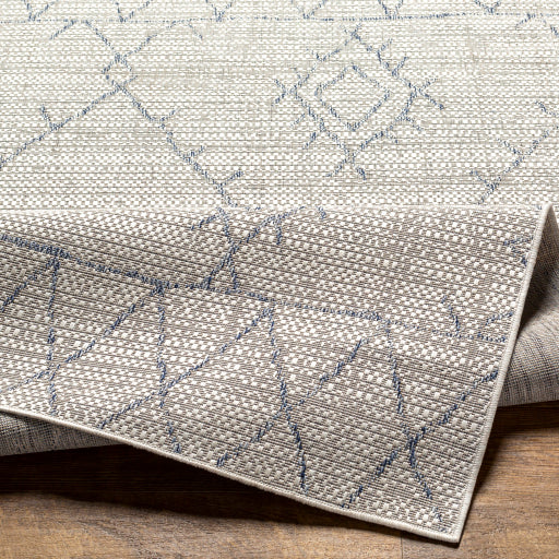 surya eagean eag 2401 taupe rug