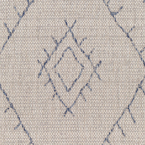 surya eagean eag 2401 taupe rug