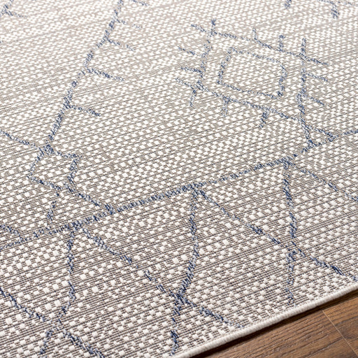 surya eagean eag 2401 taupe rug