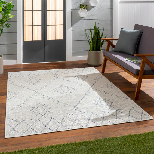 surya eagean eag 2401 taupe rug