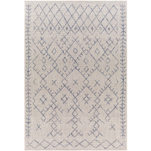 surya eagean eag 2403 taupe rug