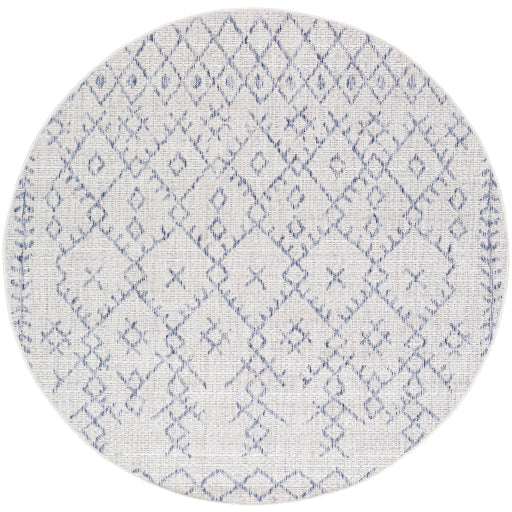surya eagean eag 2403 taupe rug