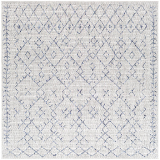 surya eagean eag 2403 taupe rug