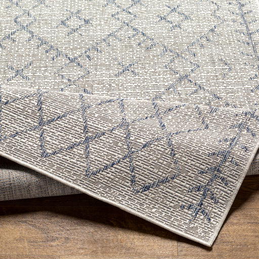 surya eagean eag 2403 taupe rug