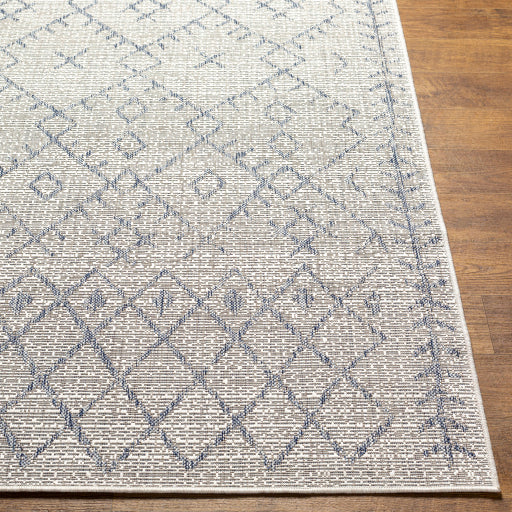 surya eagean eag 2403 taupe rug