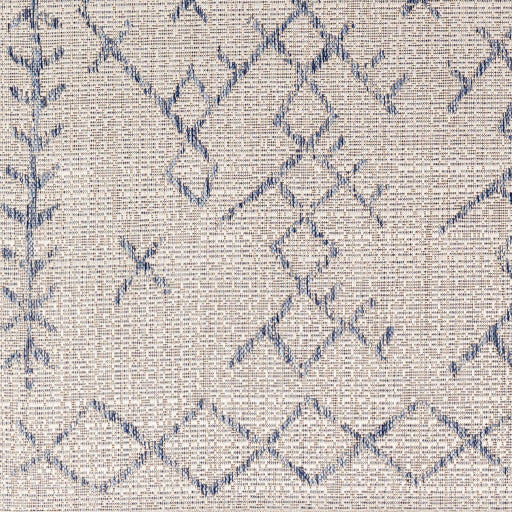 surya eagean eag 2403 taupe rug