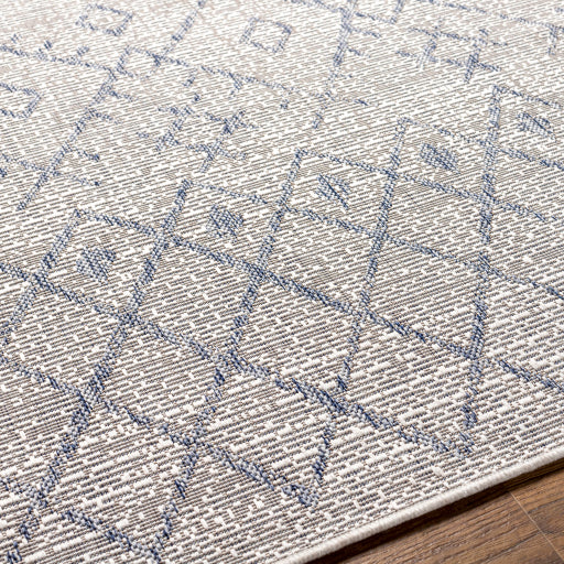 surya eagean eag 2403 taupe rug