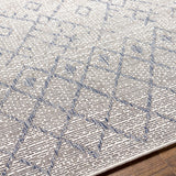 surya eagean eag 2403 taupe rug