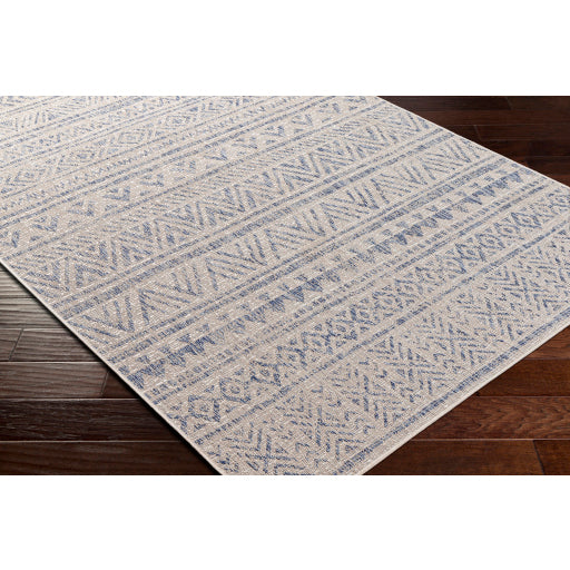 surya eagean eag 2405 taupe rug