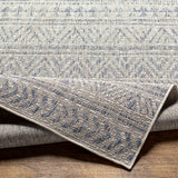 surya eagean eag 2405 taupe rug