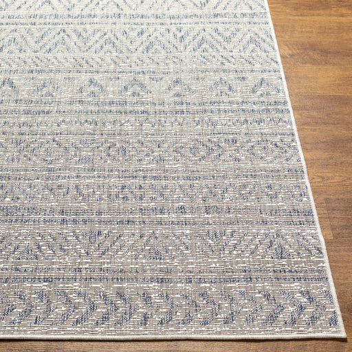 surya eagean eag 2405 taupe rug