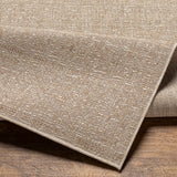 surya eagean eag 2406 tan rug