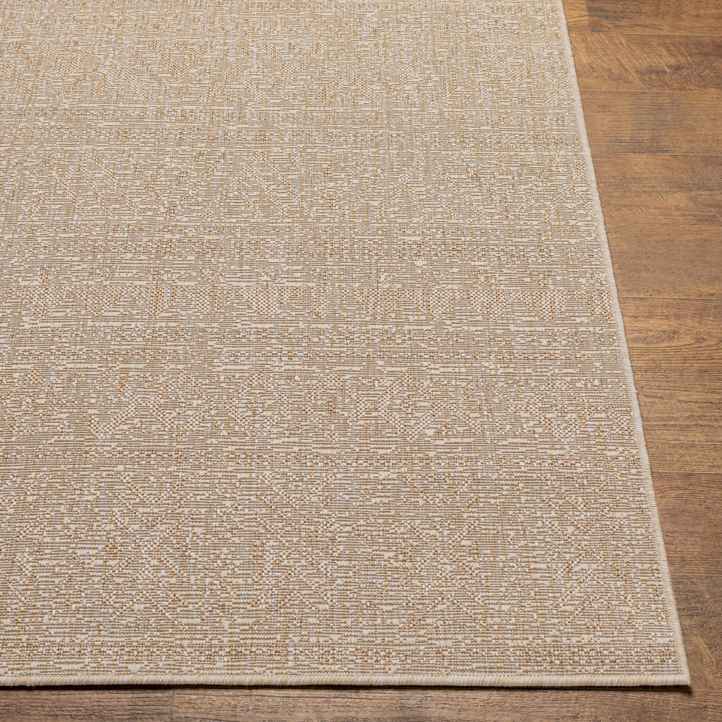 surya eagean eag 2406 tan rug