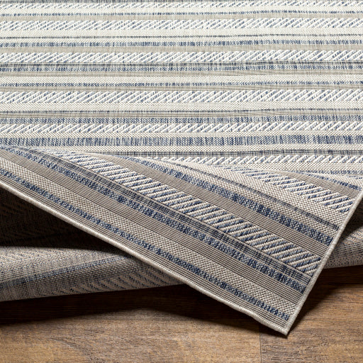 surya eagean eag 2408 taupe rug